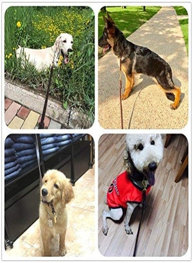 Highland Farms Select Premier 6 Foot Dog Leather Training Leash, Waist Braided Lease Leads, Made from Leather, Great Option for Large Medium Hunting Dogs or General Obedience in the Backyard - Image 5